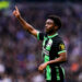 Brighton and Hove Albion's Tariq Lamptey during the Premier League match at the Tottenham Hotspur Stadium, London. Picture date: Saturday February 10, 2024. - Photo by Icon Sport   - Photo by Icon Sport