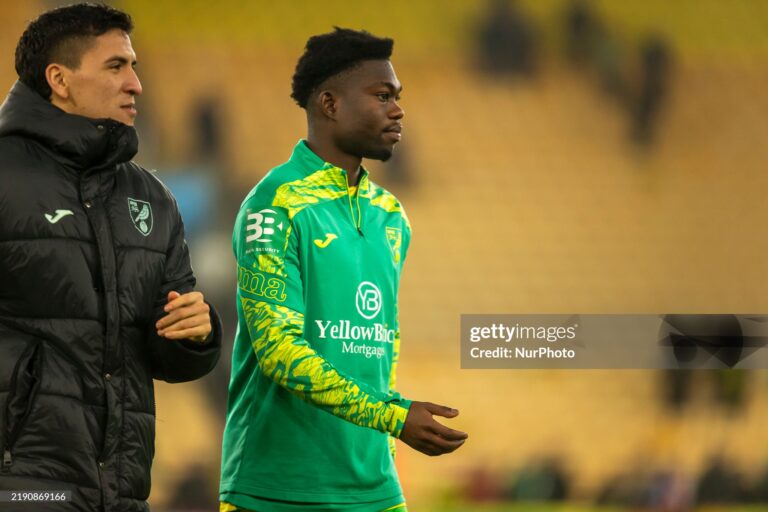 Forson Amankwah of Norwich City reacts after the Sky Bet Championship match between Norwich City and Millwall at Carrow Road in Norwich, England, on December 26, 2024. (Photo by MI News/NurPhoto via Getty Images)