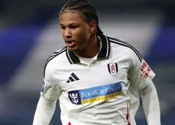 Samuel Amissah, Fulham