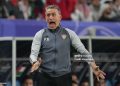 AL WAKRAH, QATAR - JANUARY 18: United Arab Emirates head coach Paulo Bento shouts during the AFC Asian Cup Group C match between Palestine and United Arab Emirates at Al Janoub Stadium on January 18, 2024 in Al Wakrah, Qatar. (Photo by Etsuo Hara/Getty Images)