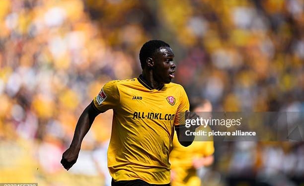 31 August 2025, Saxony, Dresden: Soccer: 2nd Bundesliga, SG Dynamo Dresden - FC Schalke 04, Matchday 4, Rudolf-Harbig-Stadion, Kofi Amoako (Dynamo Dresden) runs across the pitch. Photo: Robert Michael/dpa - IMPORTANT NOTE: In accordance with the regulations of the DFL German Football League and the DFB German Football Association, it is prohibited to utilize or have utilized photographs taken in the stadium and/or of the match in the form of sequential images and/or video-like photo series. (Photo by Robert Michael/picture alliance via Getty Images)