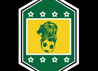 EXCLUSIVE: Three Ghanaian youngsters secure moves to European clubs from division-3 side Yorktown FC after successful trials