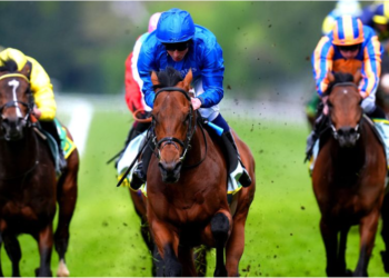 The Top Horse Racing Events for Arab Bettors in Fall 2024